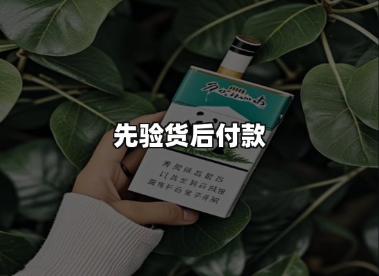 专业优势